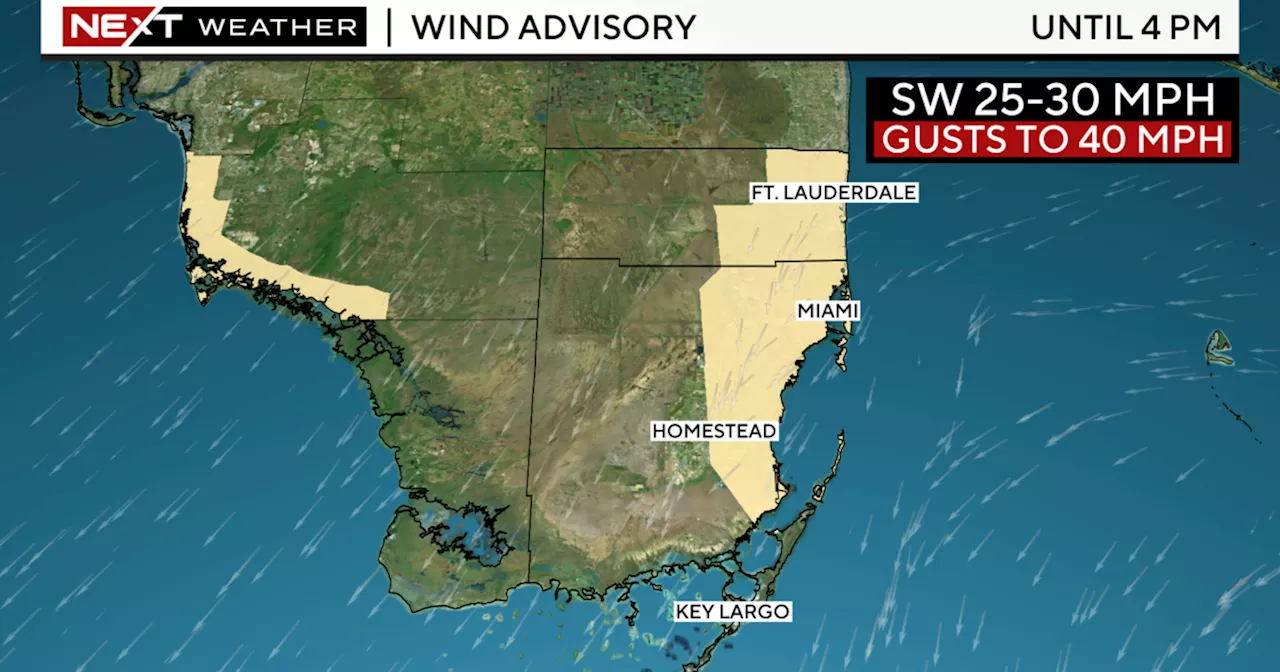 Hurricane Milton brings squally conditions to South Florida, causes flight delays and cancellations