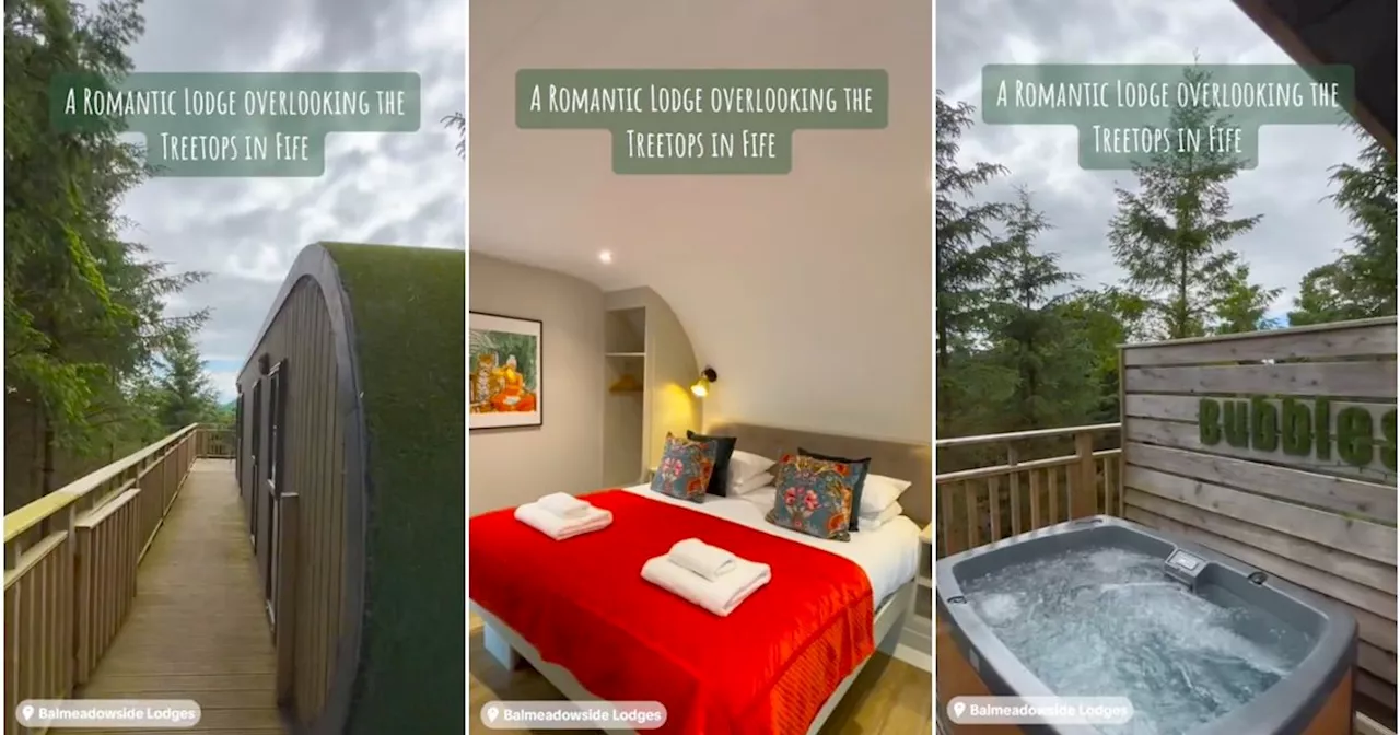 Scottish 'tree top' holiday lodge where tourists 'want to live forever'