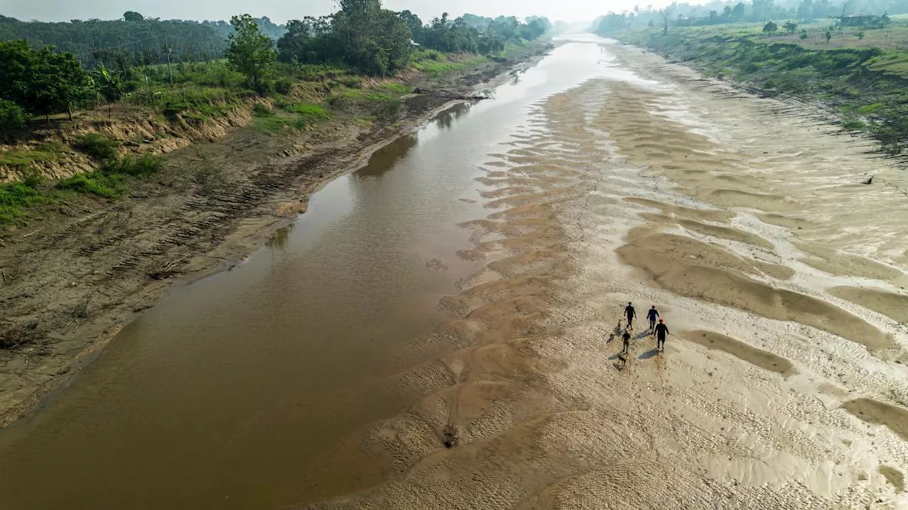 El Amazonas se seca por la sequía y Brasil recurre al dragado