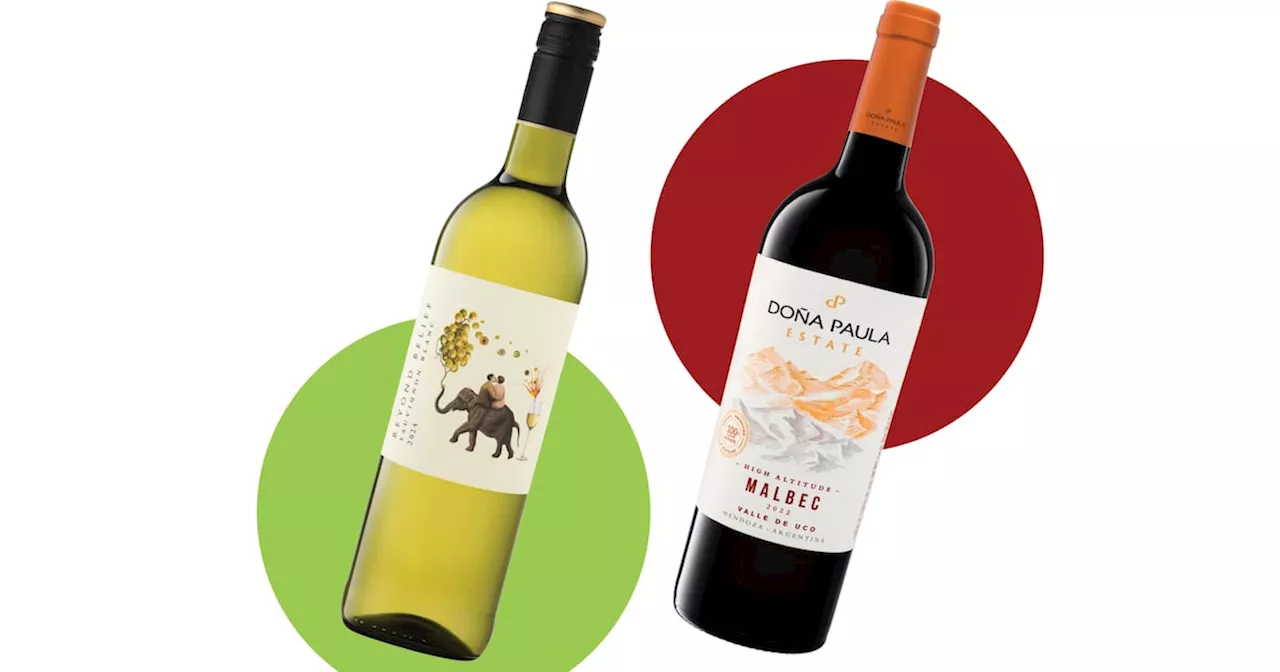 John Wilson: Lidl stocks up on elegant, flavoursome wines from south of the equator