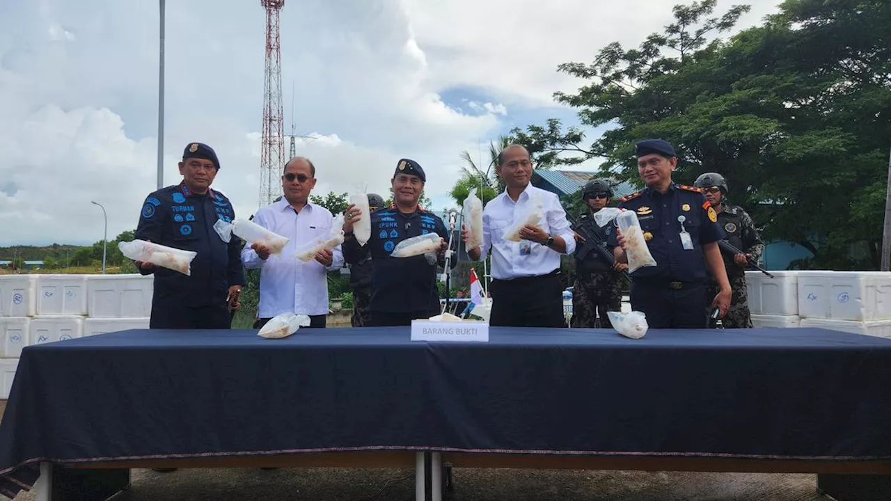 Sempat Kejar-Kejaran, KKP Gagalkan Penyelundupan 88.200 Ekor Benih Lobster di Batam