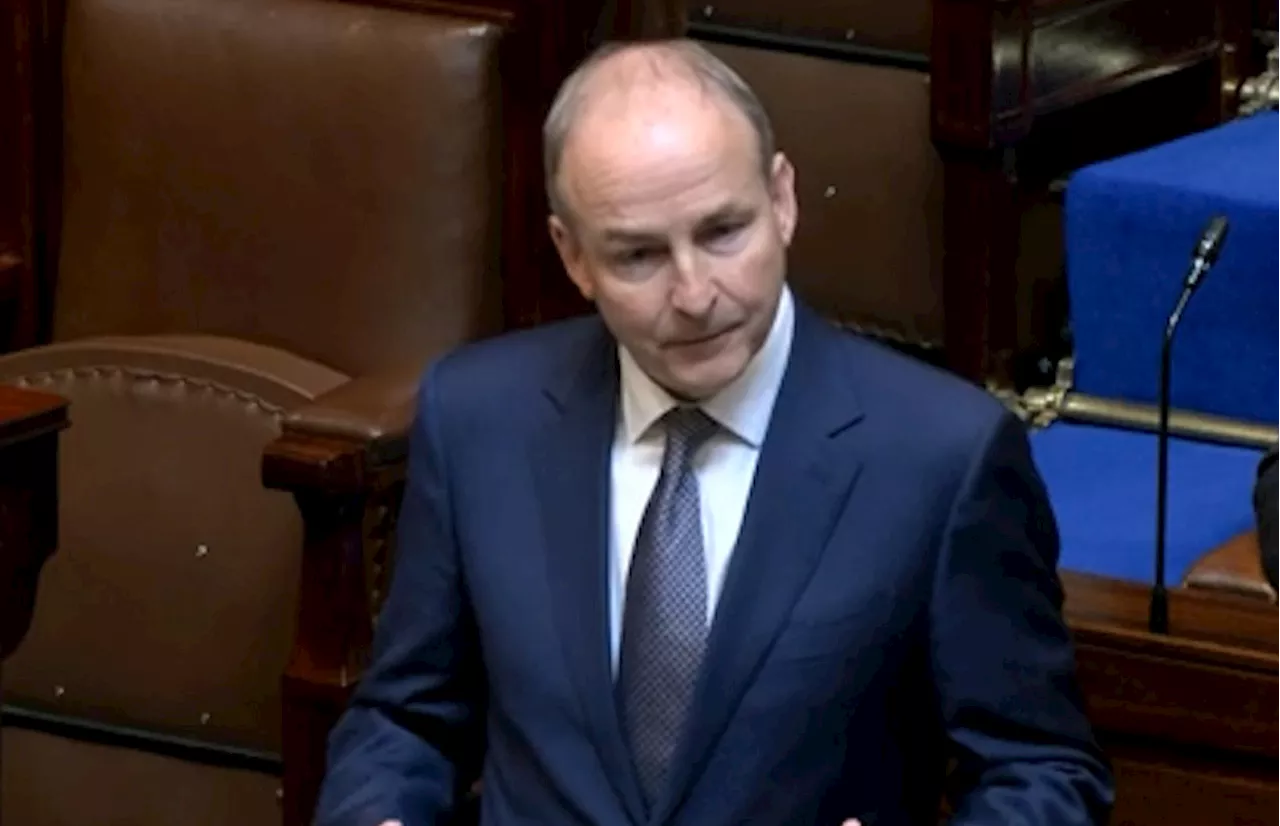 Tánaiste 'amazed' at 'herd like' reaction to Oireachtas spy claim