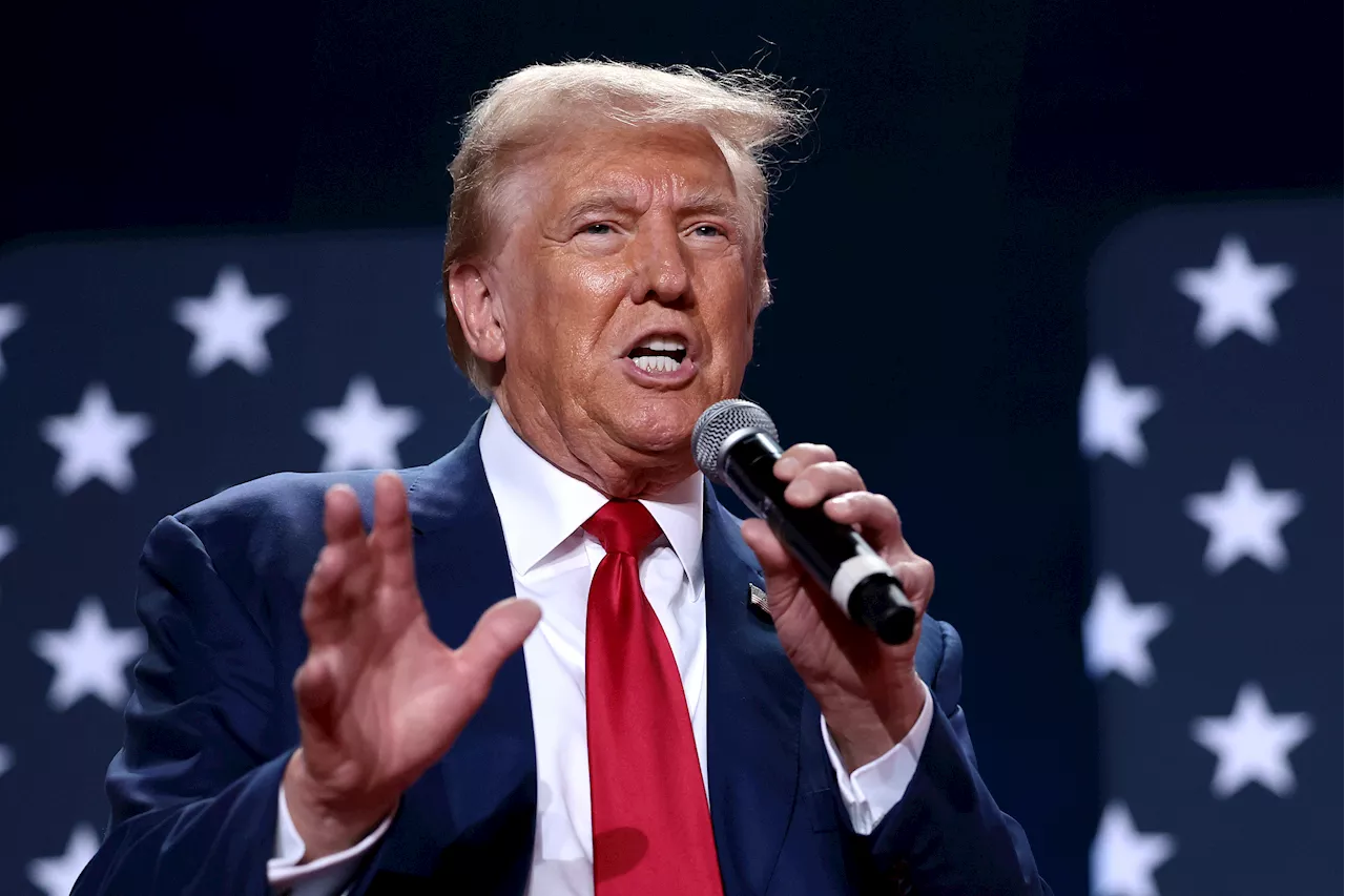 Donald Trump's FEMA Claims Attacked in Home State Newspaper: 'Garbage'