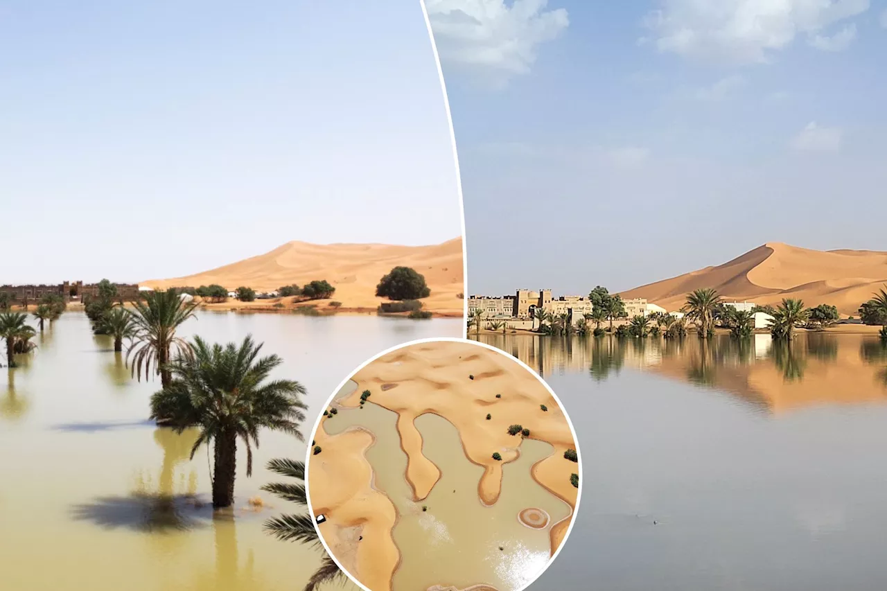 Flooding in the Sahara desert fills lake that had been dry for 50 years