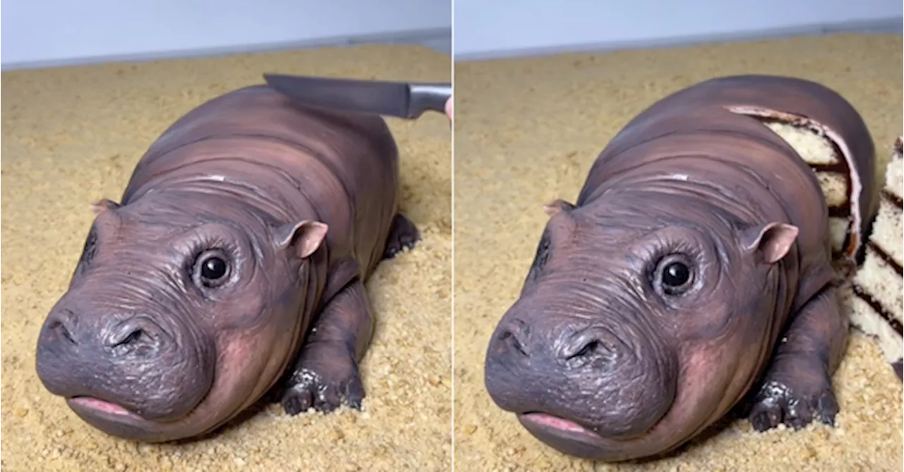 Popular British Baker Goes Viral For Creating Lifelike 'Moo Deng' Cake