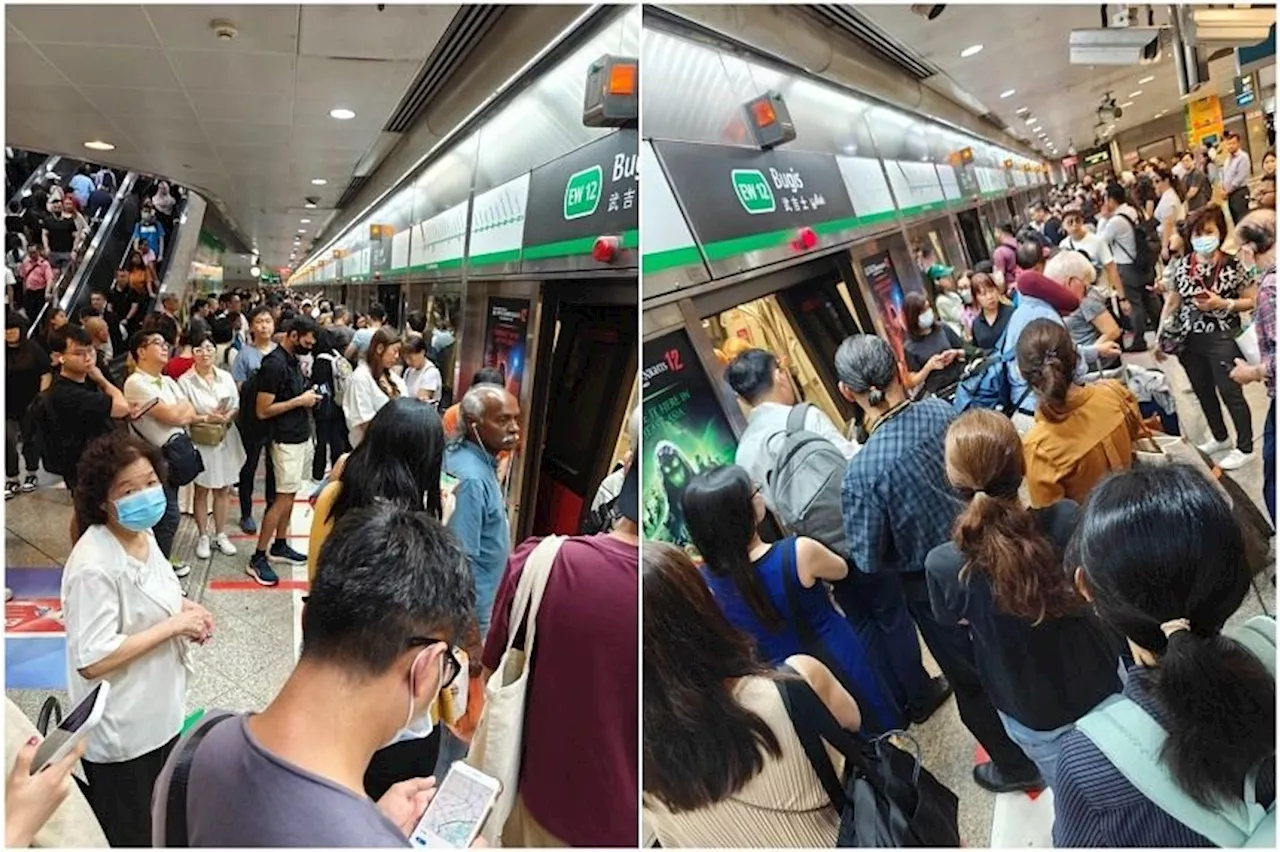 Singapore's first-generation SMRT train stalls near Tiong Bahru station, causing delays on East-West line