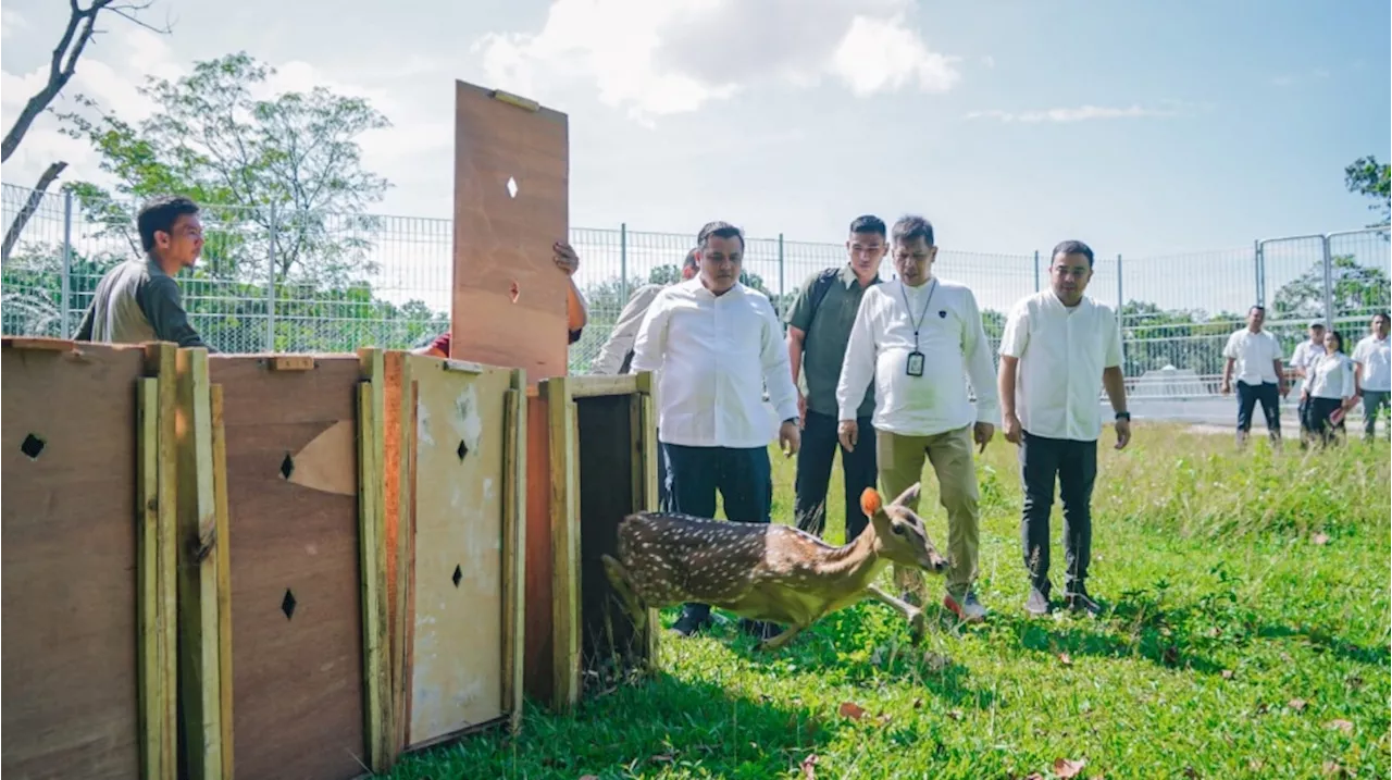 Istana Kepresidenan Bogor Hibahkan 15 Ekor Rusa ke Taman Cadika Medan