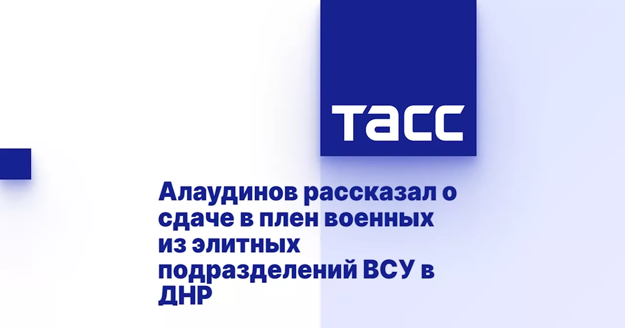 Алаудинов рассказал о сдаче в плен военных из элитных подразделений ВСУ в ДНР