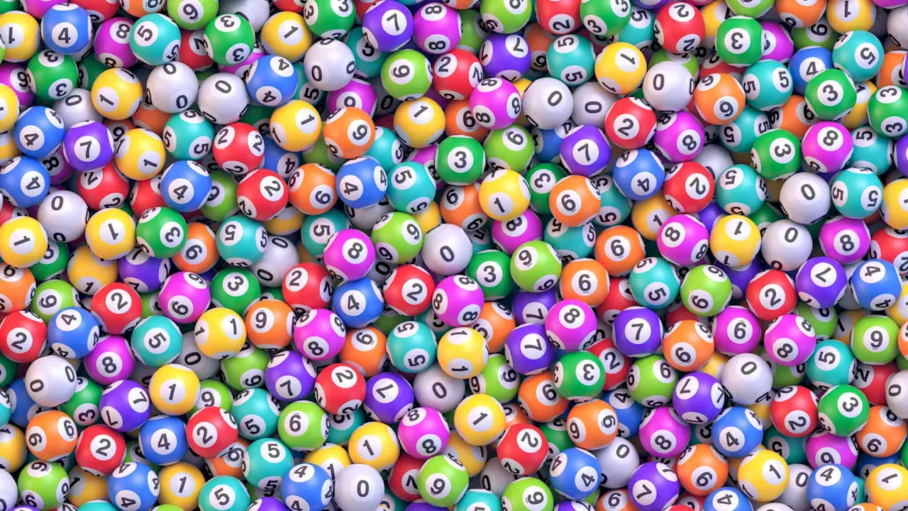 Daily Lotto results: Thursday, 10 October 2024