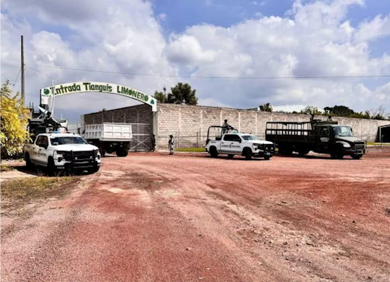 Despliegan ejército y Guardia Nacional más de 600 efectivos en Tierra Caliente