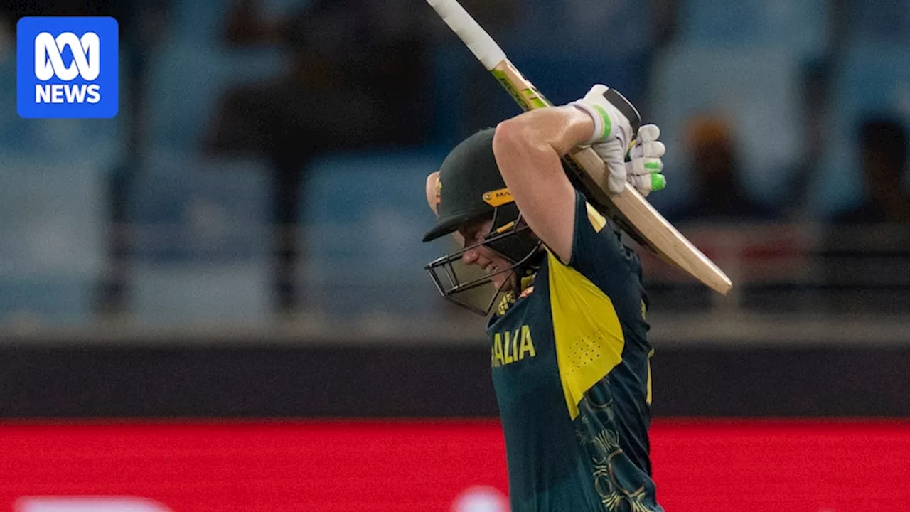 Alyssa Healy and Tayla Vlaeminck injuries sour Australia's easy Women's T20 World Cup win over Pakistan