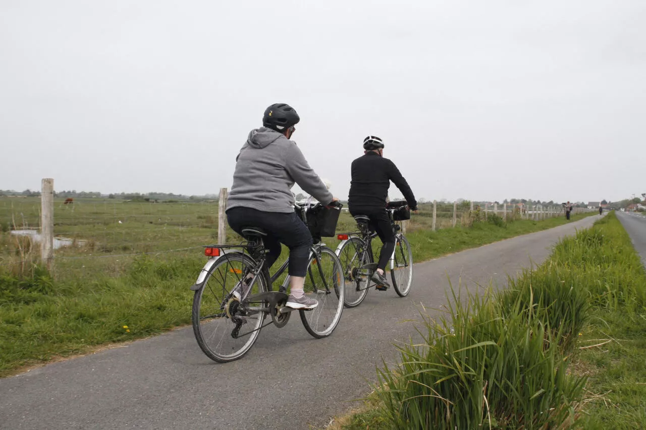 Meuse : des pistes de vélos interconnectées pour circuler en région et en Belgique