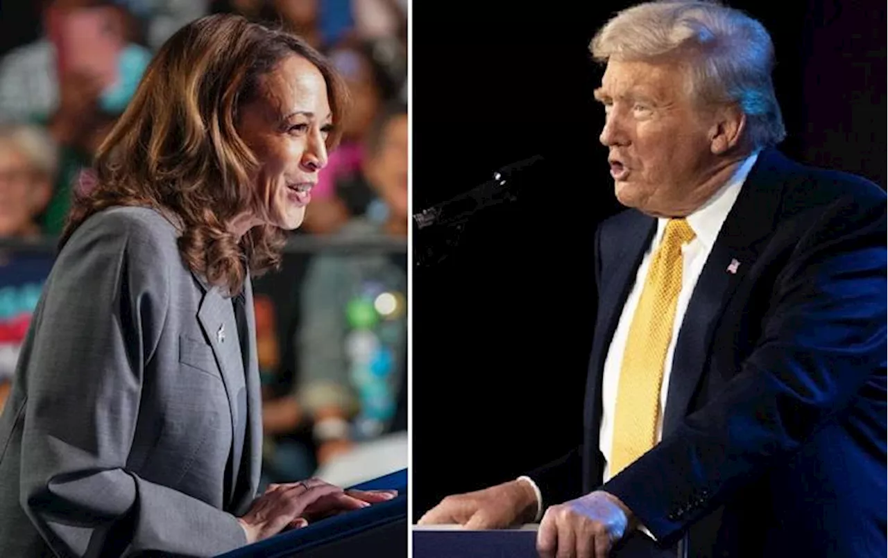 Trump-Harris, uno stato decide le elezioni Usa: l'analisi verso il voto