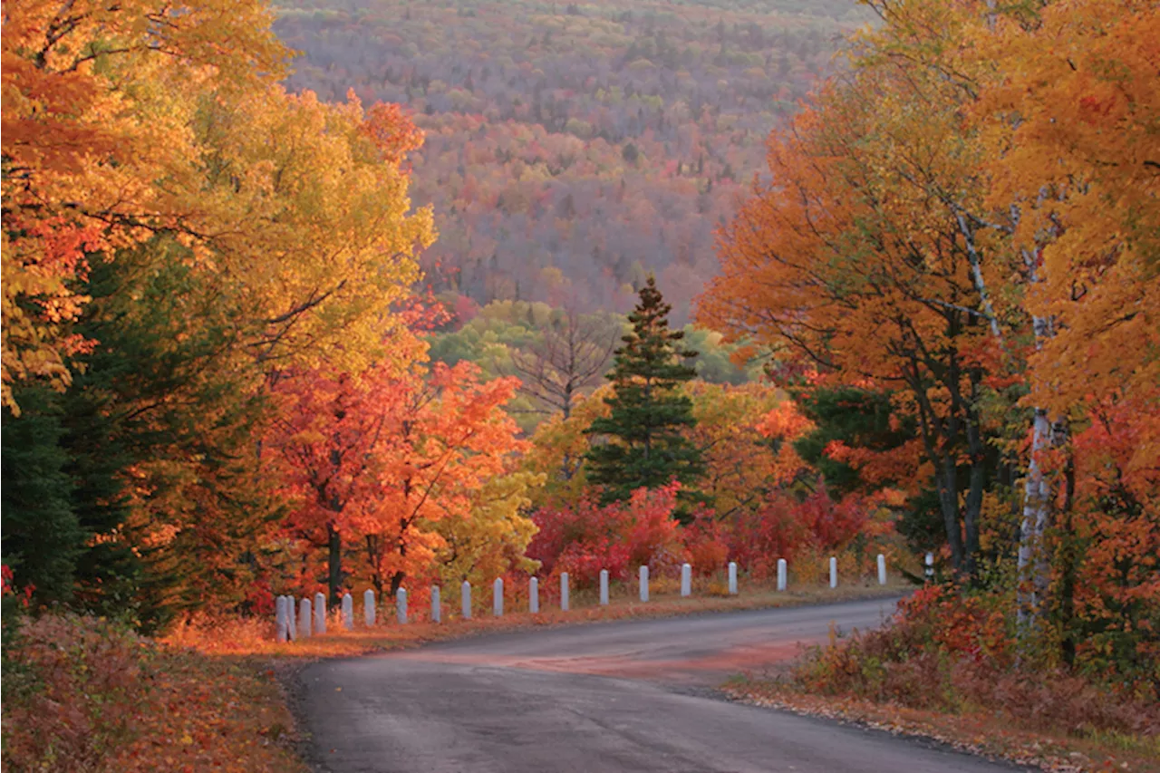 Foliage negli Stati Uniti, viaggio nei colori dell'autunno