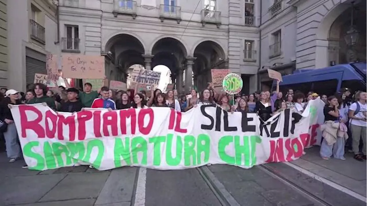 Torino, il flash mob finale di Fridays for Future