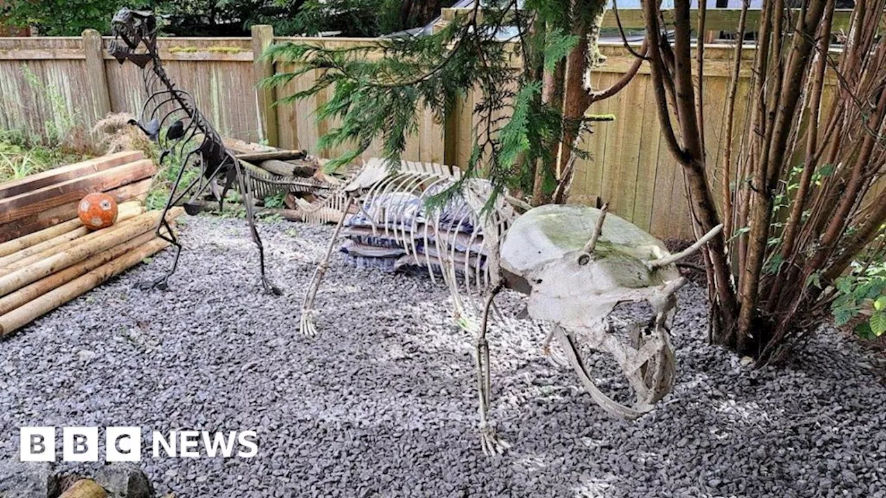 Stolen dinosaur sculptures found after more than five years