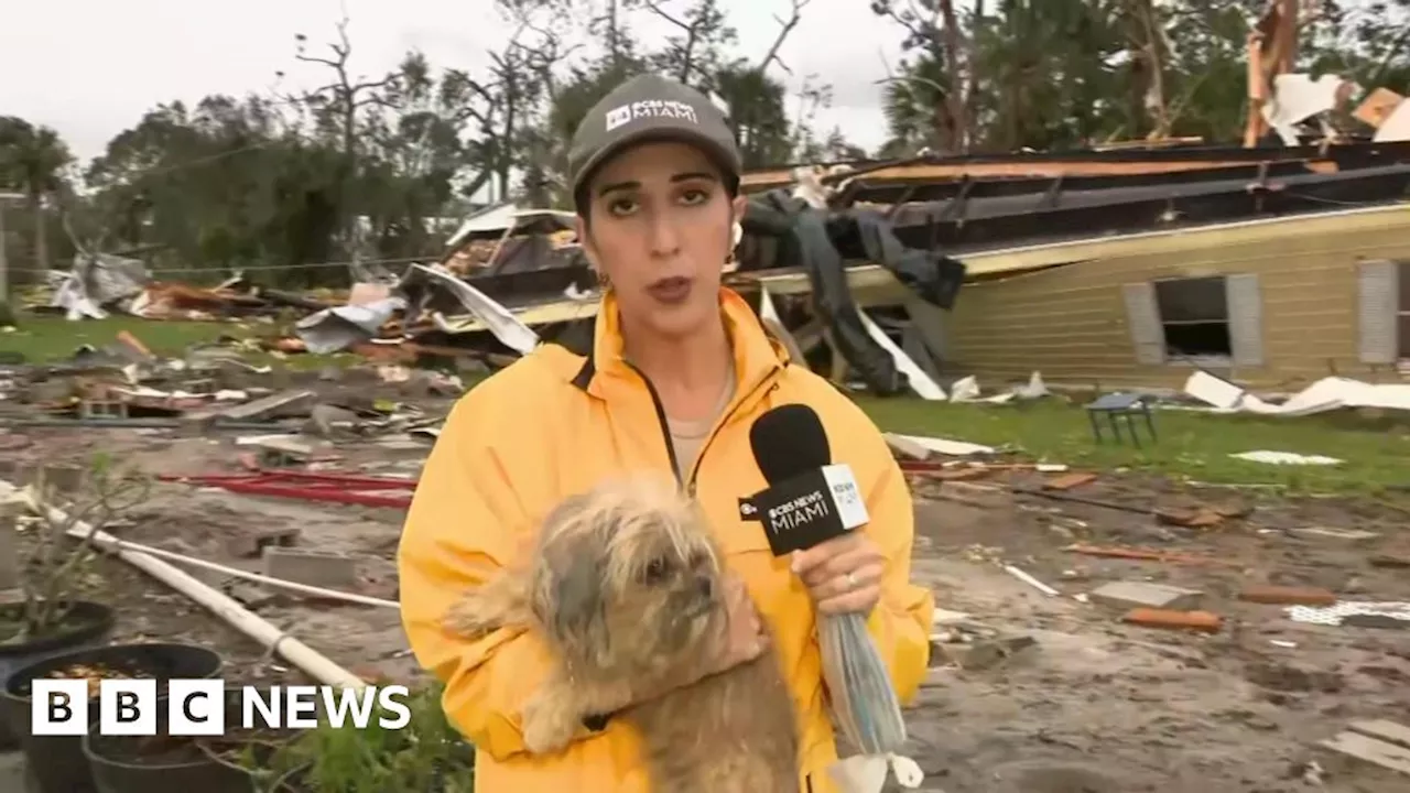 Hurricane Milton: Moment missing dog is found in tornado debris