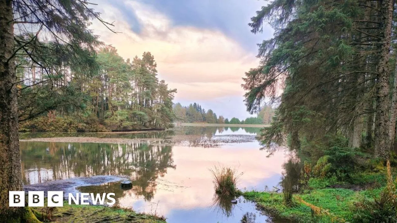 Your pictures of Scotland: Photographs from around the country