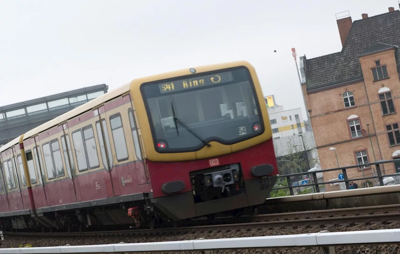 S-Bahn Berlin kündigt Bauarbeiten an: Das erwartet Fahrgäste in den Herbstferien