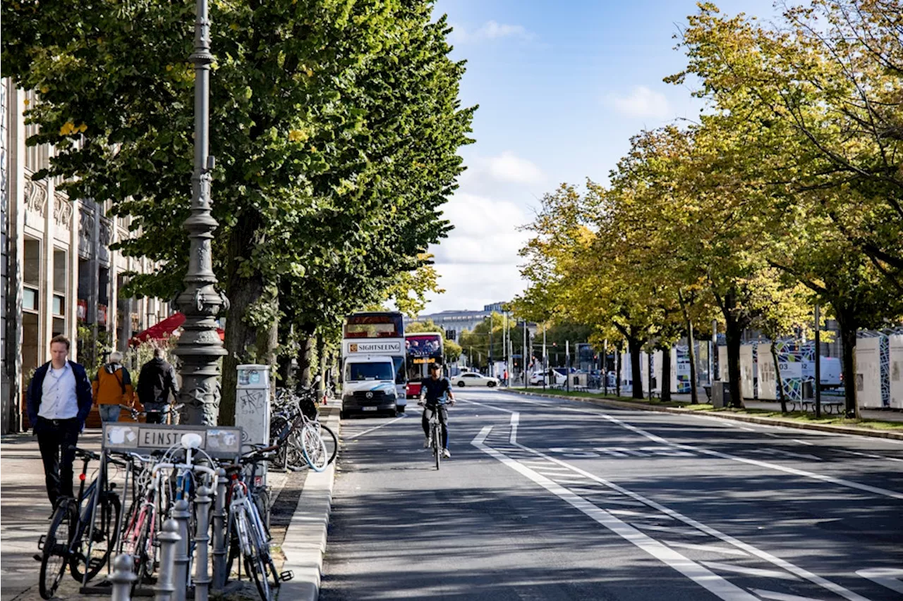 Unter den Linden fallen Bäume: Darum ist die Berliner Allee erst 2028 wieder komplett