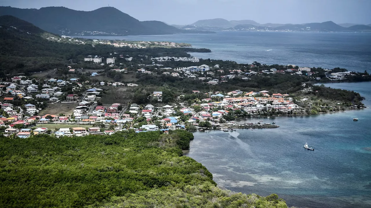 Alimentation: des prix 40% plus chers en Martinique qu'en métropole