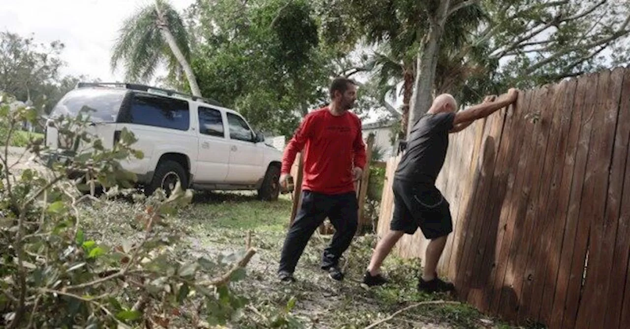 Small Dog Rescued Alive from Hurricane Debris in Florida