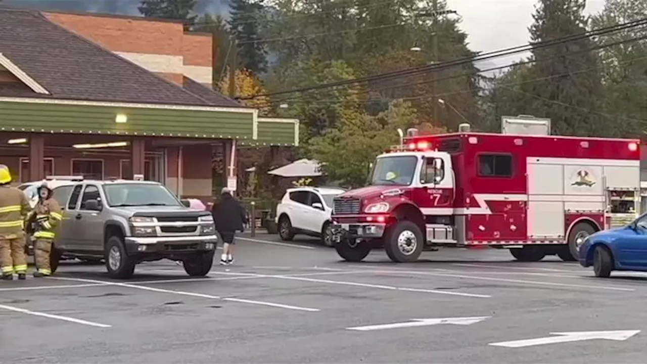 Alleged impaired driver arrested after crashing into multiple cars in Lake Cowichan Country Grocer parking lot