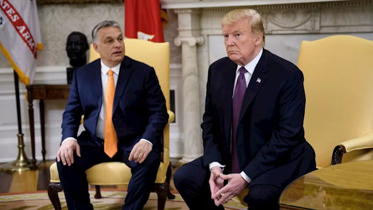 Despite Trump’s embrace of Orbán, Senate Republicans sound alarms over Hungary’s democratic backsliding