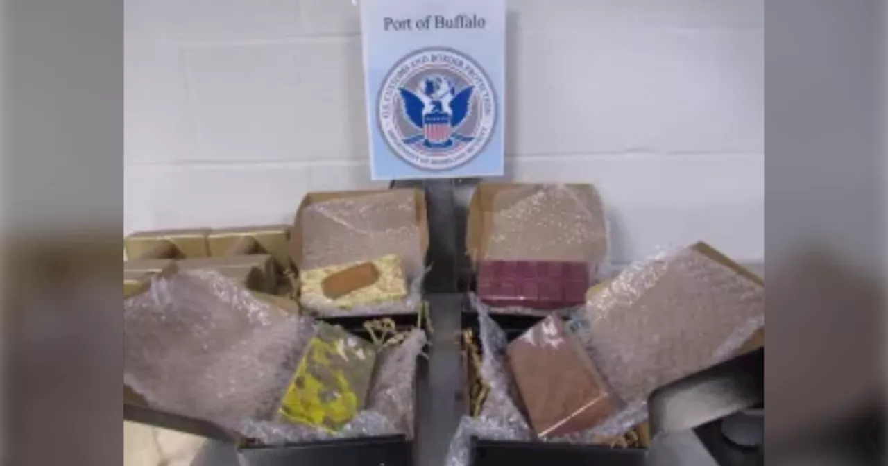 Chocolate bricks filled with magic mushrooms seized at Peace Bridge warehouse