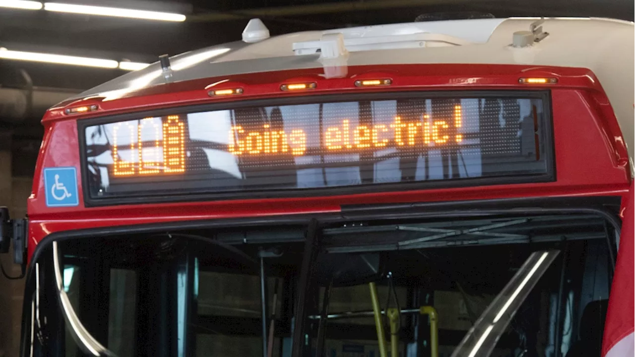 OC Transpo e-bus order delayed due to limited availability from manufacturers