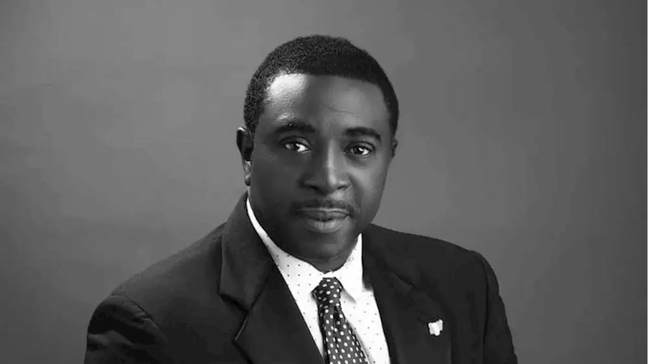 – Bob-Manuel Udokwu on Idris Elba playing lead in ‘Things Fall Apart’ seri ...