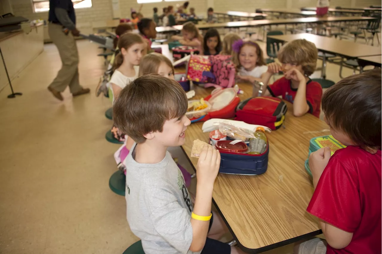 Advocates Say a Side of 'Stigma and Shame' Comes With Keller ISD Alternative Lunches