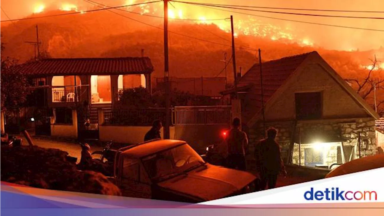 Peneliti Ciptakan Gel Bangunan Antikebakaran Hutan