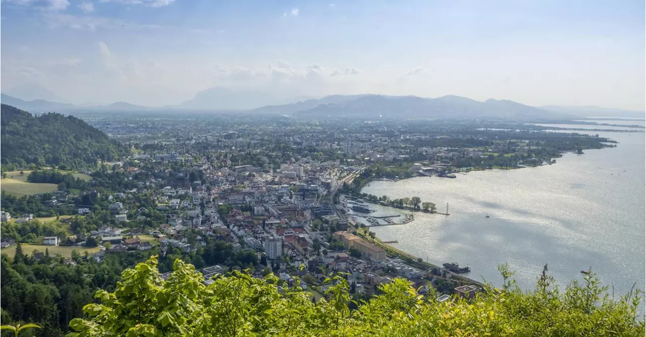 Was Vorarlberg im Wahlkampf beschäftigt(e)