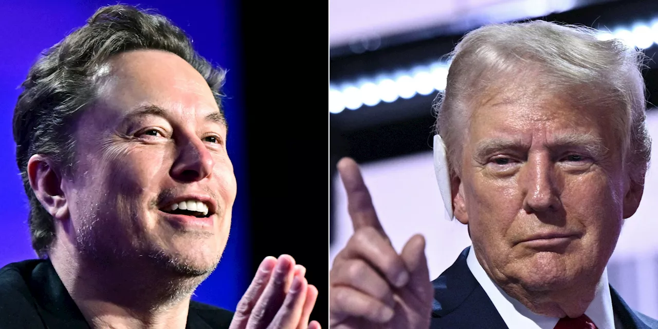 Avec son soutien à Donald Trump, la carrière d'Elon Musk prend un tour politique