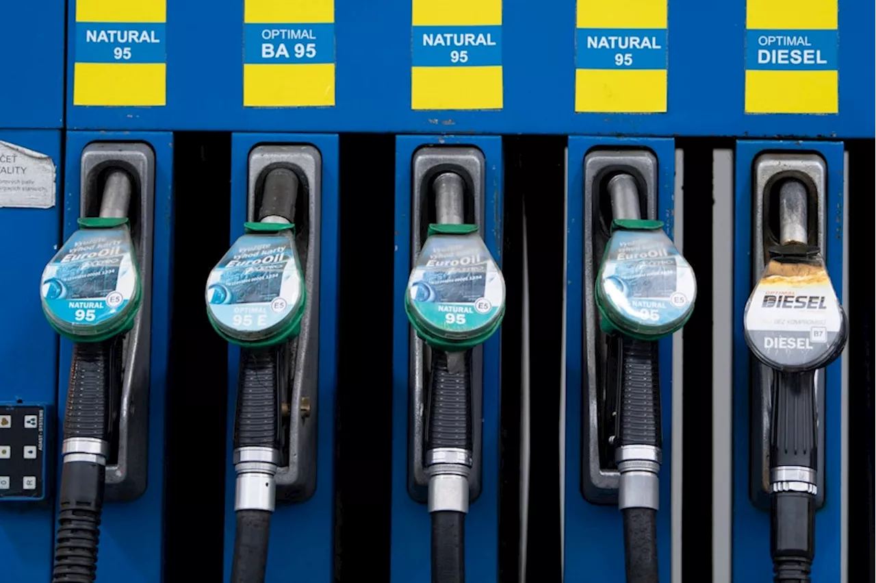 Panne auf Rügen: Tankstelle macht Fehler, Autos bleiben liegen