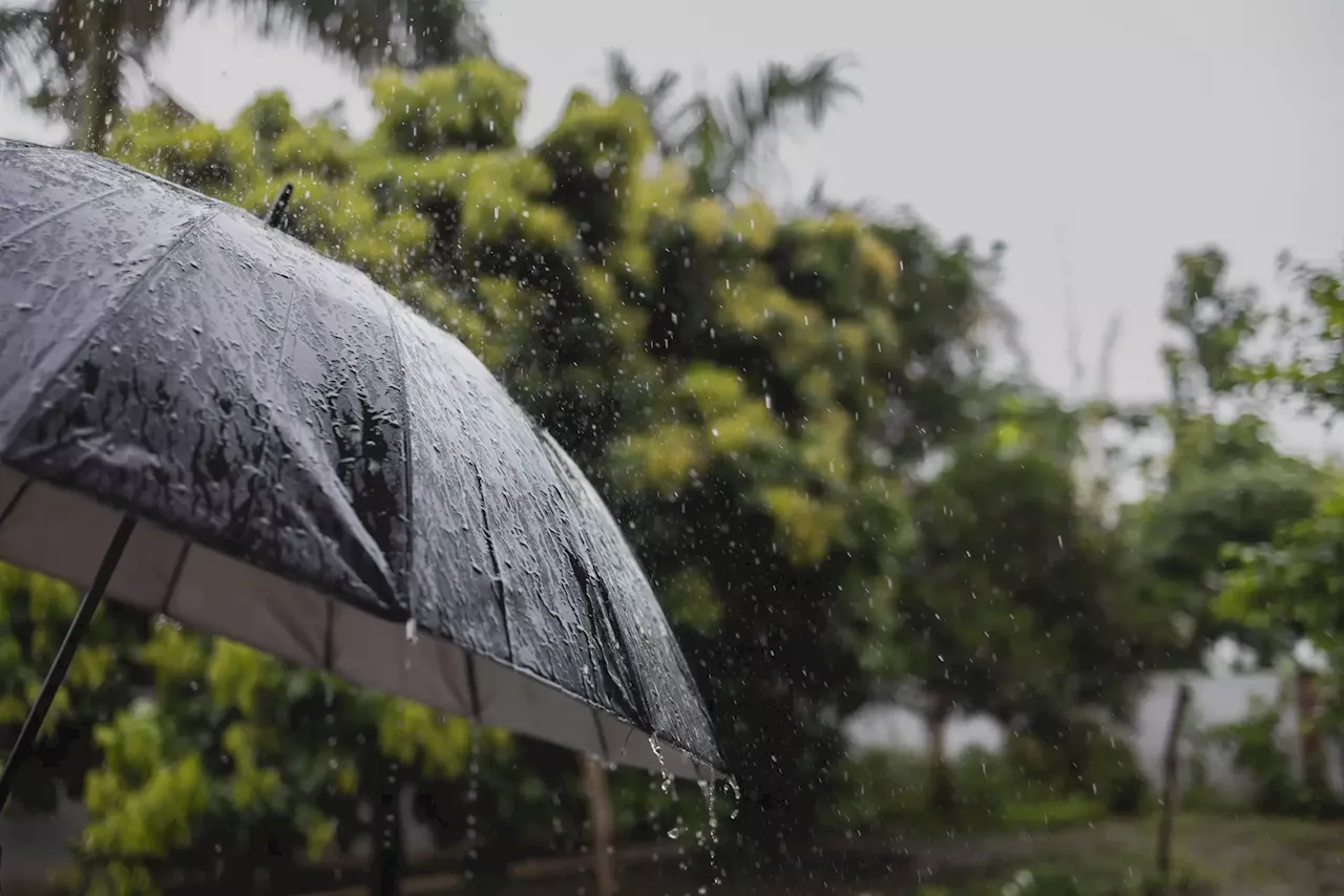 Tempestade Berenice afeta centro e sul de Portugal com chuva forte