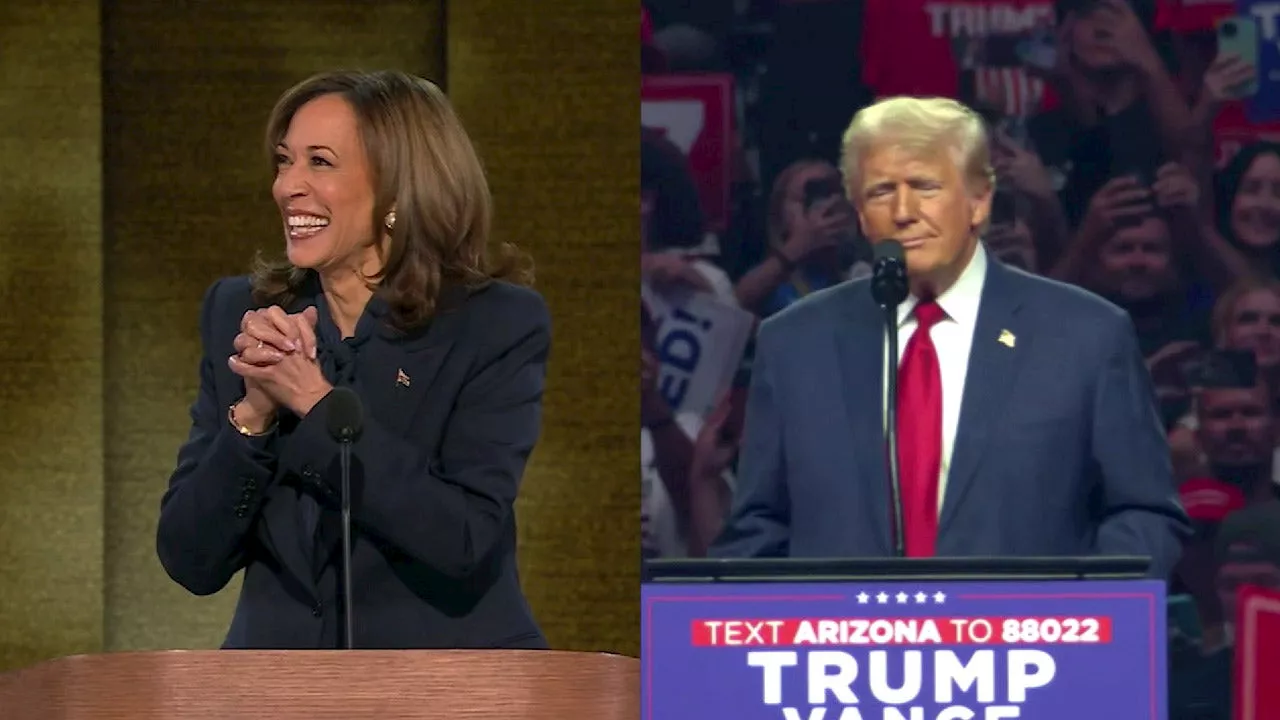 Election 2024: New poll shows where Trump, Harris stand in 7 battleground states