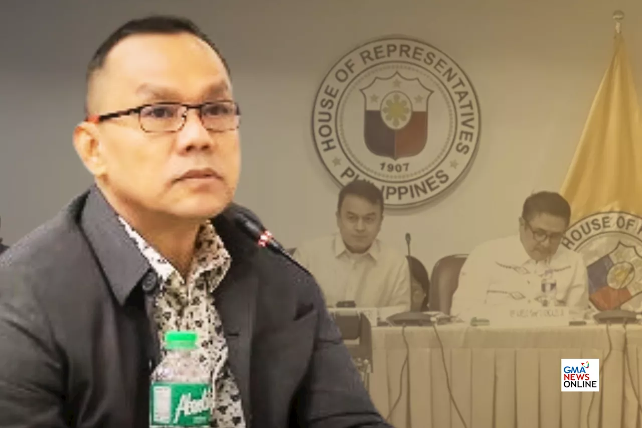 NAPOLCOM's Leonardo resigns from post