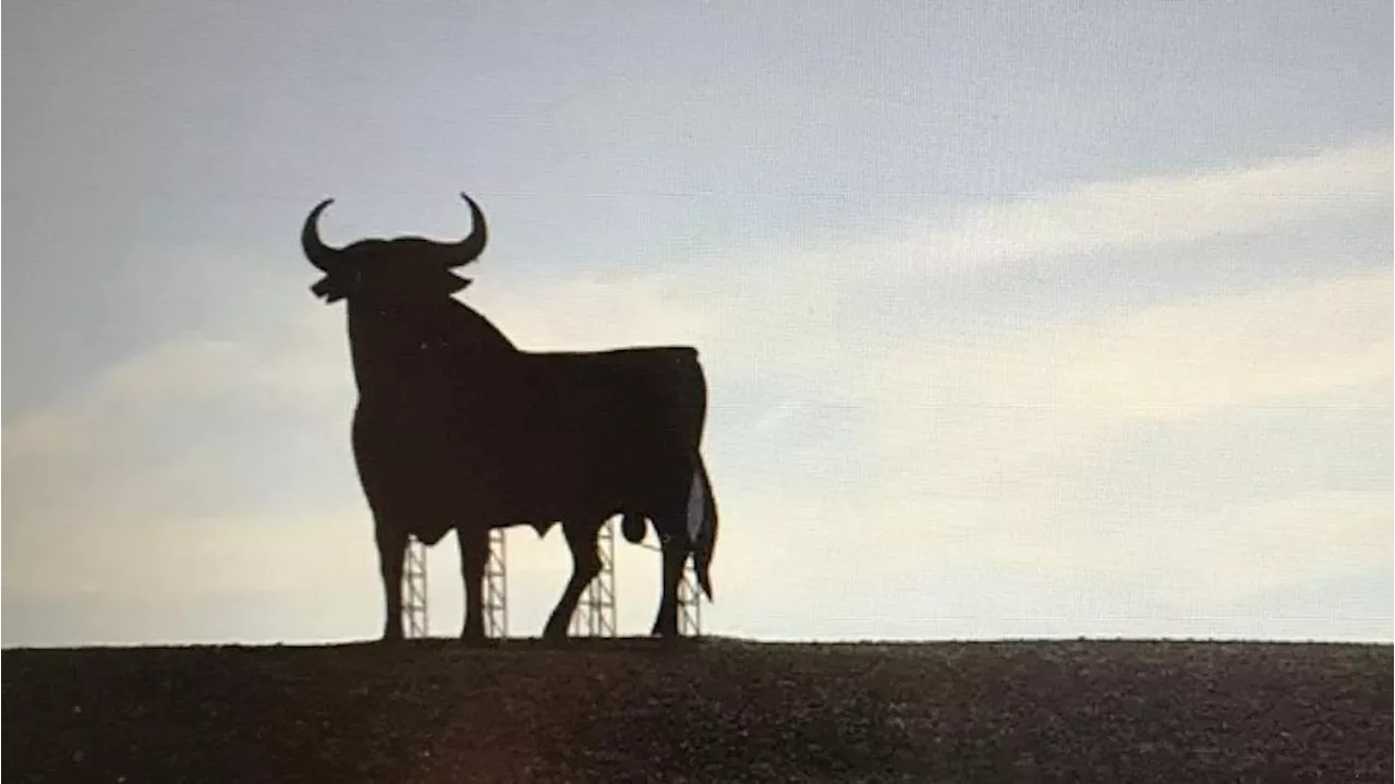 Juventudes de la izquierda 'abertzale' derriban el toro de Osborne en Navarra