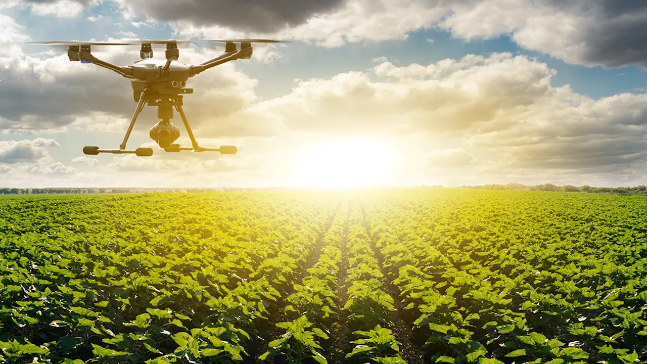 AI drone taps Dell, Nvidia tech to monitor crop health