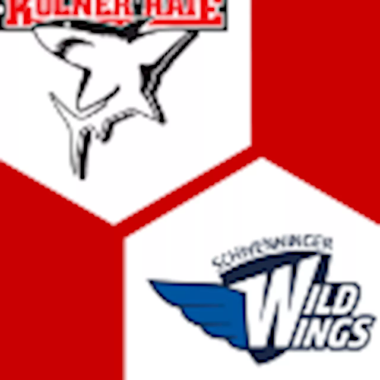  Schw. Wild Wings 0:0 | 8. Spieltag | Deutsche Eishockey-Liga 2024/25