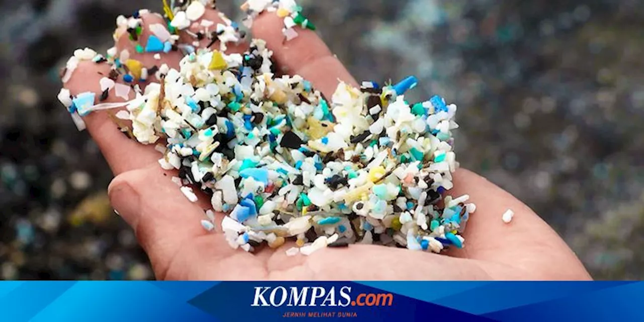 Mikroplastik Ditemukan di Buah dan Sayuran Segar, Apa Saja?