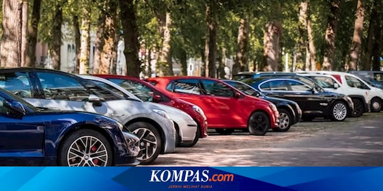 Viral Remaja Jerman Punya Hobi Unik Laporkan Pelanggaran Parkir