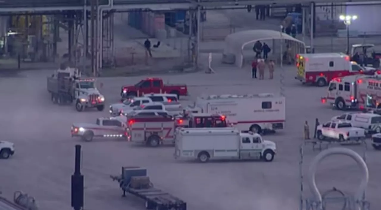 1 dead, several others injured after chemical release at industrial plant in Deer Park