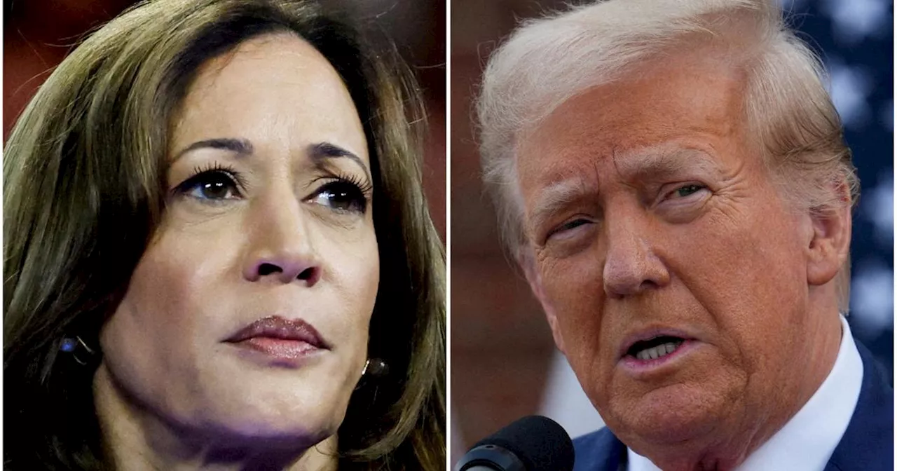 Trump wirft Demokraten schon jetzt Wahlbetrug vor, sollte Harris gewinnen