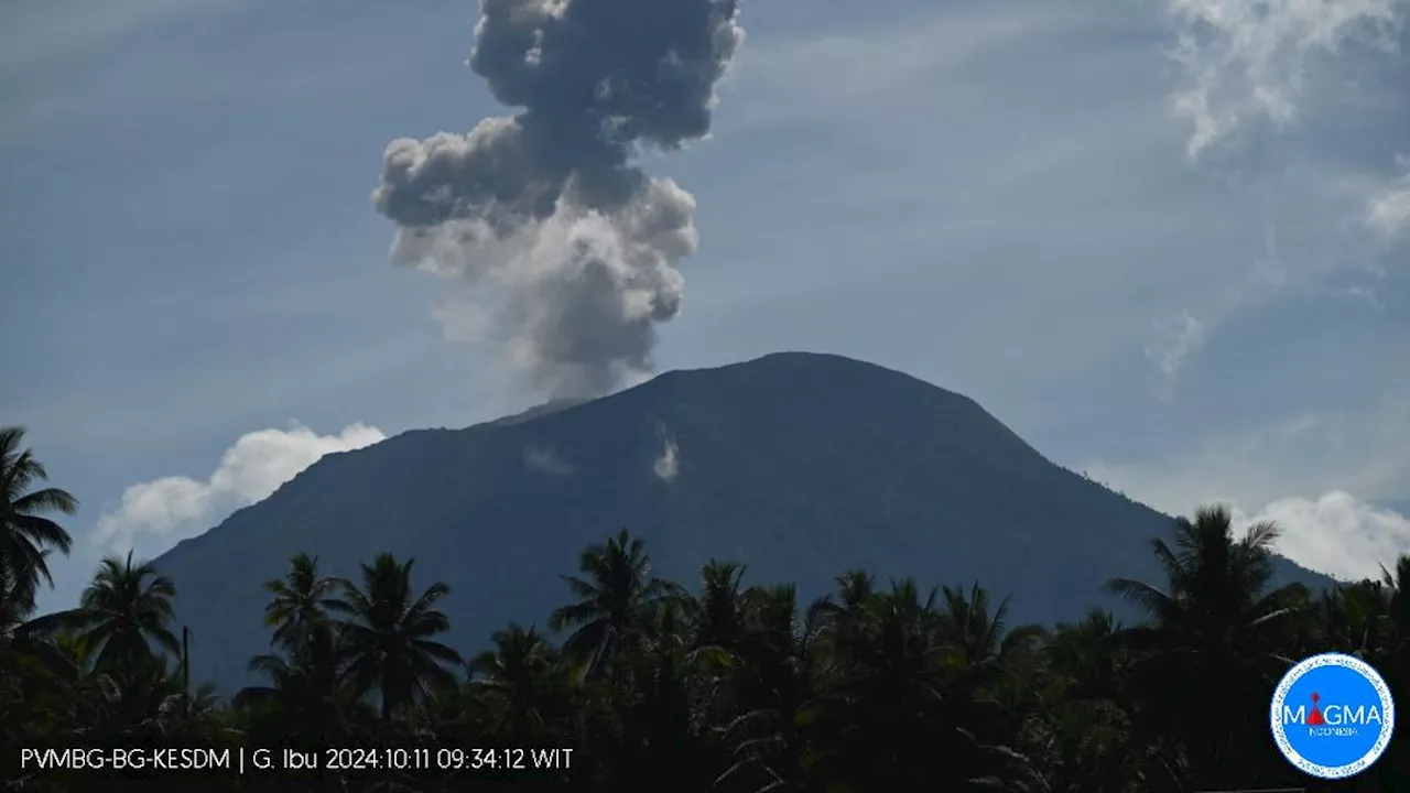 Gunung Ibu Erupsi 1.000 Meter ke Arah Barat, Warga dan Wisatawan Diimbau Patuhi Radius Bahaya