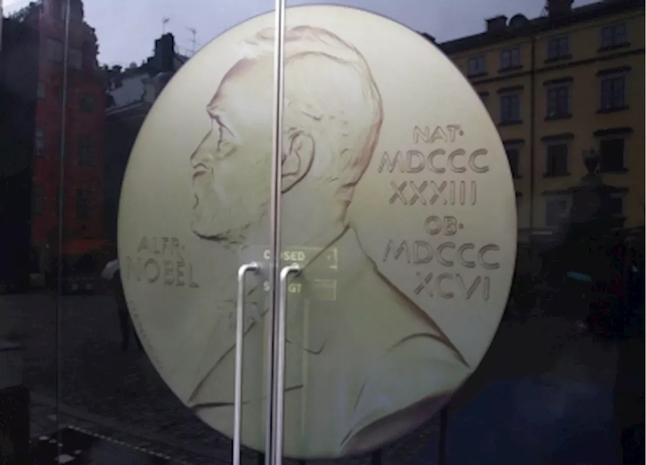 How does the Nobel Peace Prize work? Everything you need to know ahead