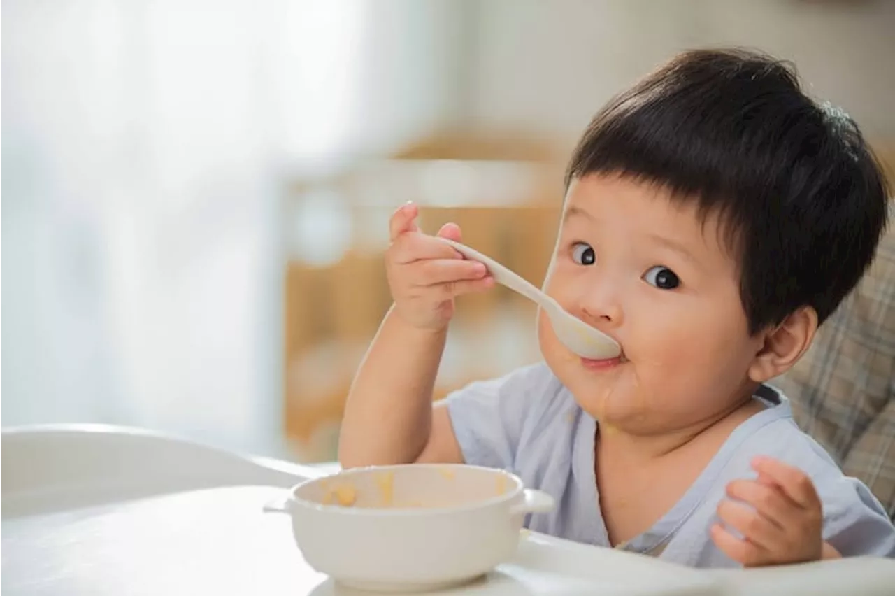 Ingin Anak tidak Sulit Makan Stop Lakukan Hal Ini