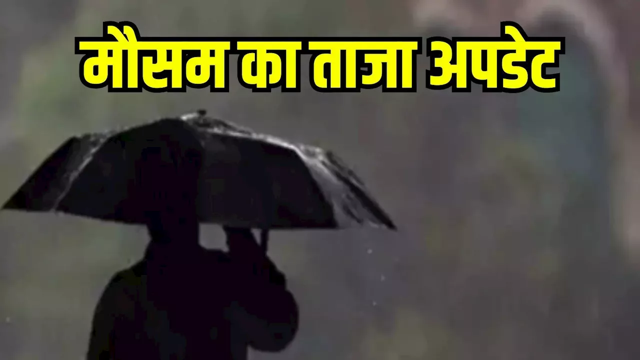 MP Weather Update: एमपी के इन जिलों में बारिश की संभावना, जानें मौसम का ताजा अपडेट